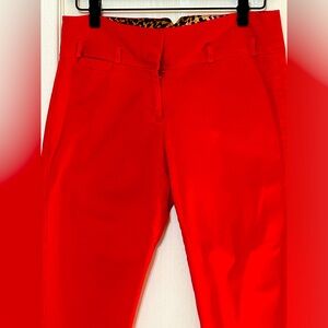 XOXO Slim Fit Red Casual Womens Pants